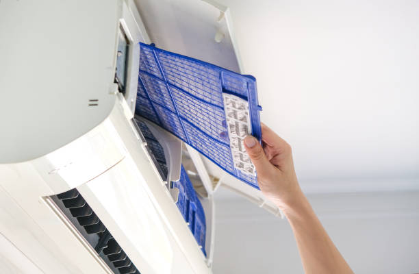 Best Affordable HVAC Duct Cleaning  in Freemansburg, PA