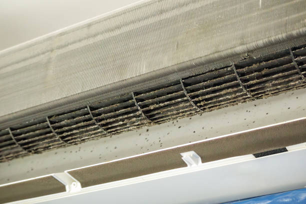 Best Professional Duct Cleaning Services  in Freemansburg, PA