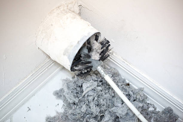 Best Dryer Vent Cleaning Services  in Freemansburg, PA